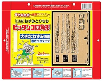 専用　偕楽園　ねずみ　時代香合　幅約7.5㎝　タサコサ　東さ7-0204☆2F 七五三 はこせこセット 7歳 女の子 くすみカラー レース 草履